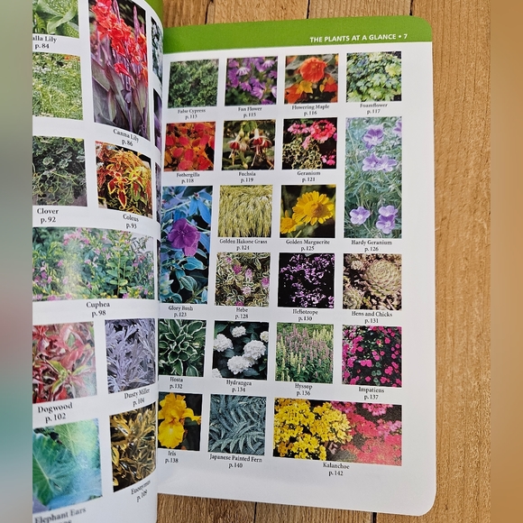 CONTAINER GARDENING OF WASHINGTON AND OREGON - LONE PINE - PAPERBACK - Picture 2 of 5